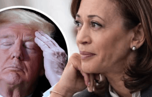 Kamala Is Running Again?!