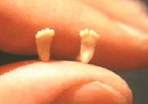 You’ll Be Amazed When You Find Out..