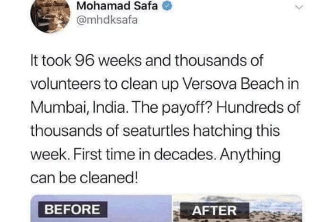 Beach cleaning..