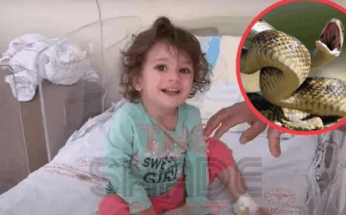 2 Year Old Bites Snake