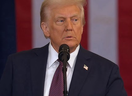 Trump Reveals Which Insult..