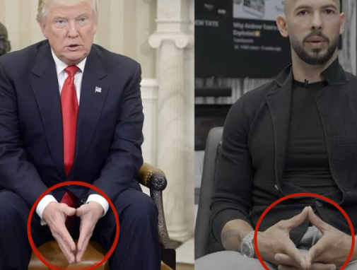 Hand Gesture Meaning