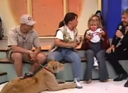 Lioness Grabs Child