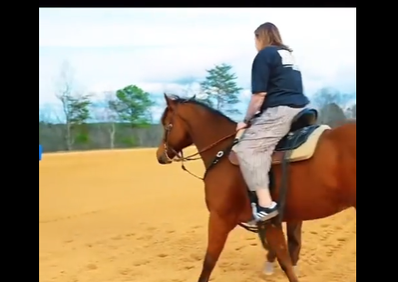Kailyn Wild Horse Ride