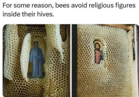 Bees Avoid Religious Figures